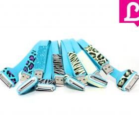 Customized Blue iPhone 4 4s Charger
