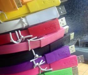 Plain Flat Noodle 10 Feet Extra Long iPhone USB Data Cable